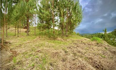 Venta Lote Vista y Paisajismo Parcelacion El Retiro