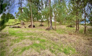 Venta Lote Vista y Paisajismo Parcelacion El Retiro