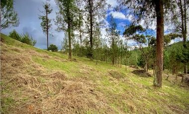 Venta Lote Vista y Paisajismo Parcelacion El Retiro