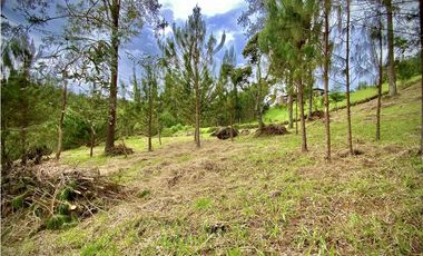 Venta Lote Vista y Paisajismo Parcelacion El Retiro