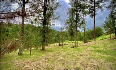 Venta Lote Vista y Paisajismo Parcelacion El Retiro