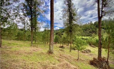 Venta Lote Vista y Paisajismo Parcelacion El Retiro