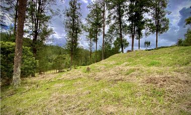 Venta Lote Vista y Paisajismo Parcelacion El Retiro