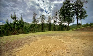 Venta Lote Vista y Paisajismo Parcelacion El Retiro