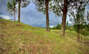 Venta Lote Vista y Paisajismo Parcelacion El Retiro