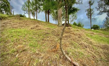 Venta Lote Vista y Paisajismo Parcelacion El Retiro