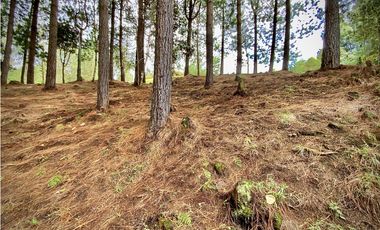 Venta Lote Bosque Vista Parcelacion El Retiro