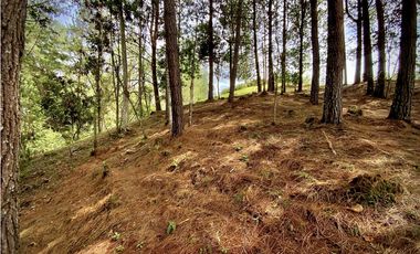 Venta Lote Bosque Vista Parcelacion El Retiro