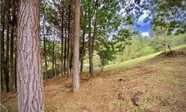 Venta Lote Bosque Vista Parcelacion El Retiro