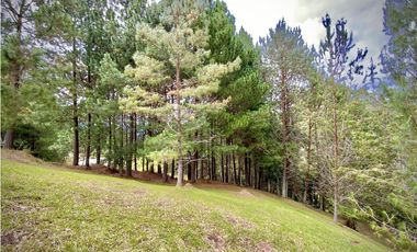 Venta Lote Bosque Vista Parcelacion El Retiro