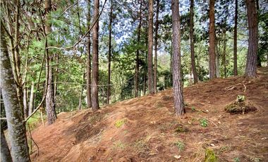 Venta Lote Bosque Vista Parcelacion El Retiro