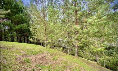 Venta Lote Bosque Vista Parcelacion El Retiro