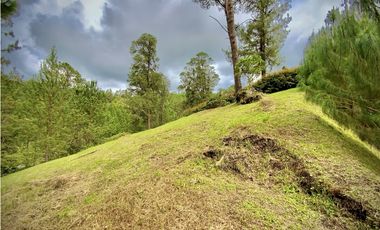 Venta Lote Bosque Vista Parcelacion El Retiro