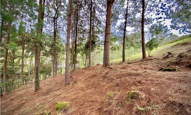 Venta Lote Bosque Vista Parcelacion El Retiro