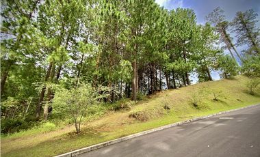 Venta Lote Bosque Vista Parcelacion El Retiro