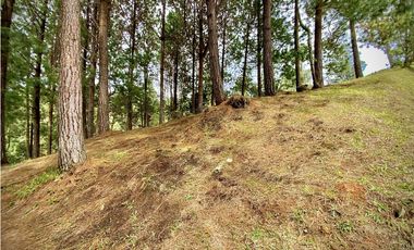 Venta Lote Bosque Vista Parcelacion El Retiro