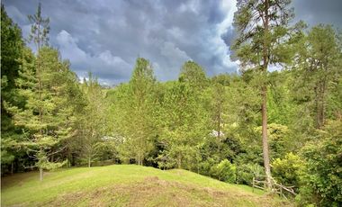 Venta Lote Bosque Vista Parcelacion El Retiro