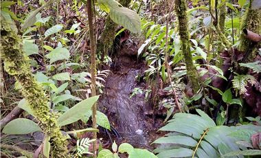 Venta Lote Bosque Vista Parcelacion El Retiro