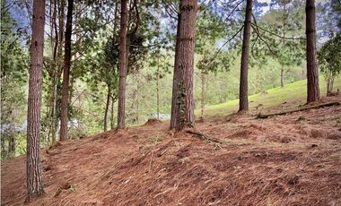 Venta Lote Bosque Vista Parcelacion El Retiro