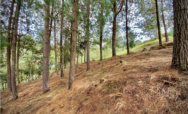 Venta Lote Bosque Vista Parcelacion El Retiro