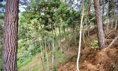 Venta Lote Bosque Vista Parcelacion El Retiro