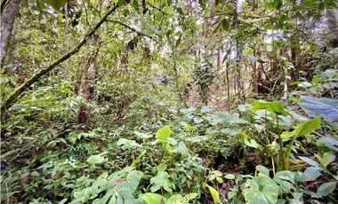 Venta Lote Bosque Vista Parcelacion El Retiro