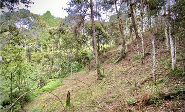 Venta Lote Bosque Vista Parcelacion El Retiro