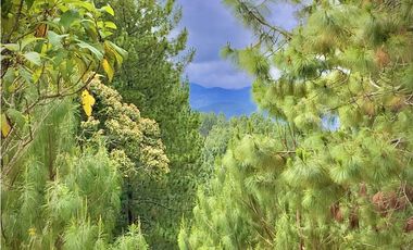 Venta Lote Bosque Vista Parcelacion El Retiro