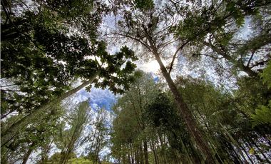Venta Lote Bosque Vista Parcelacion El Retiro