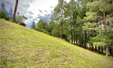 Venta Lote Bosque Vista Parcelacion El Retiro