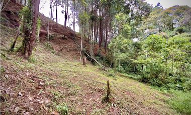 Venta Lote Bosque Vista Parcelacion El Retiro