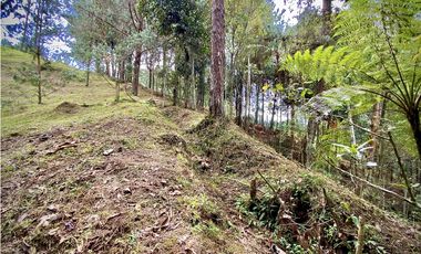 Venta Lote Bosque Vista Parcelacion El Retiro