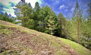 Venta Lote Bosque Vista Parcelacion El Retiro