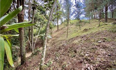 Venta Lote Bosque Vista Parcelacion El Retiro