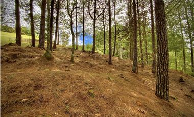 Venta Lote Bosque Vista Parcelacion El Retiro