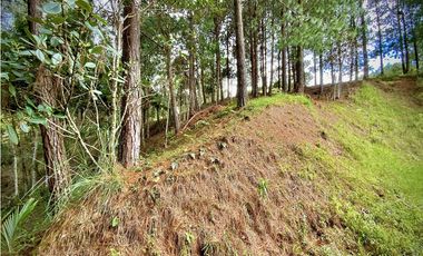 Venta Lote Bosque Vista Parcelacion El Retiro