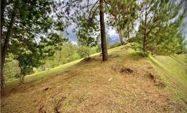 Venta Lote Bosque Vista Parcelacion El Retiro