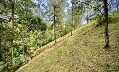 Venta Lote Bosque Vista Parcelacion El Retiro