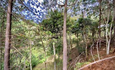 Venta Lote Bosque Vista Parcelacion El Retiro