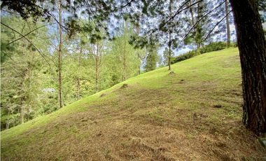 Venta Lote Bosque Vista Parcelacion El Retiro