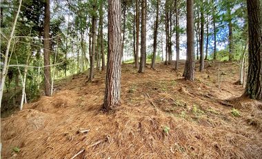 Venta Lote Bosque Vista Parcelacion El Retiro