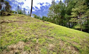 Venta Lote Bosque Vista Parcelacion El Retiro