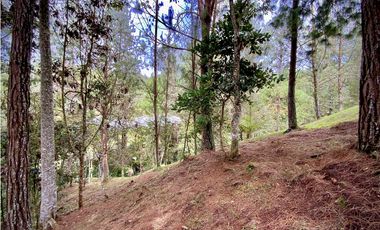 Venta Lote Bosque Vista Parcelacion El Retiro
