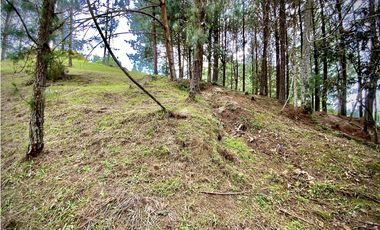 Venta Lote Bosque Vista Parcelacion El Retiro