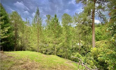 Venta Lote Bosque Vista Parcelacion El Retiro