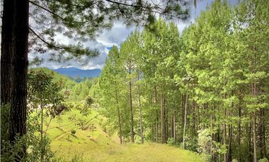 Venta Lote Bosque Vista Parcelacion El Retiro