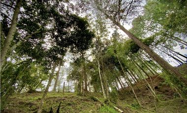 Venta Lote Bosque Vista Parcelacion El Retiro