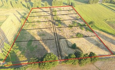 REBAJADAS 4 HERMOSAS PARCELAS CAMINO A PINTO-CHILLAN KM19