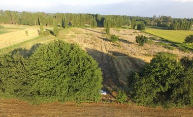 REBAJADAS 4 HERMOSAS PARCELAS CAMINO A PINTO-CHILLAN KM19