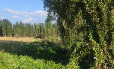 REBAJADAS 4 HERMOSAS PARCELAS CAMINO A PINTO-CHILLAN KM19